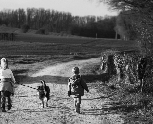 Kinder mit Hund beim Spaziergang