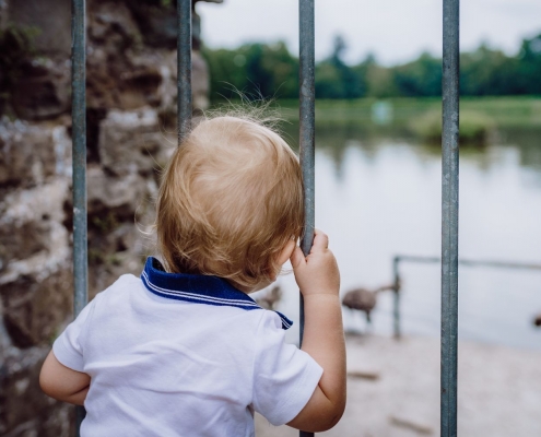 kleines Kind beobachtet Gänse durch einen Zaun